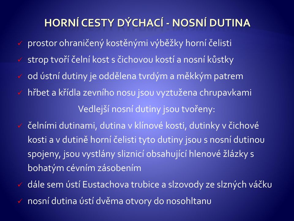 klínové kosti, dutinky v čichové kosti a v dutině horní čelisti tyto dutiny jsou s nosní dutinou spojeny, jsou vystlány sliznicí obsahující