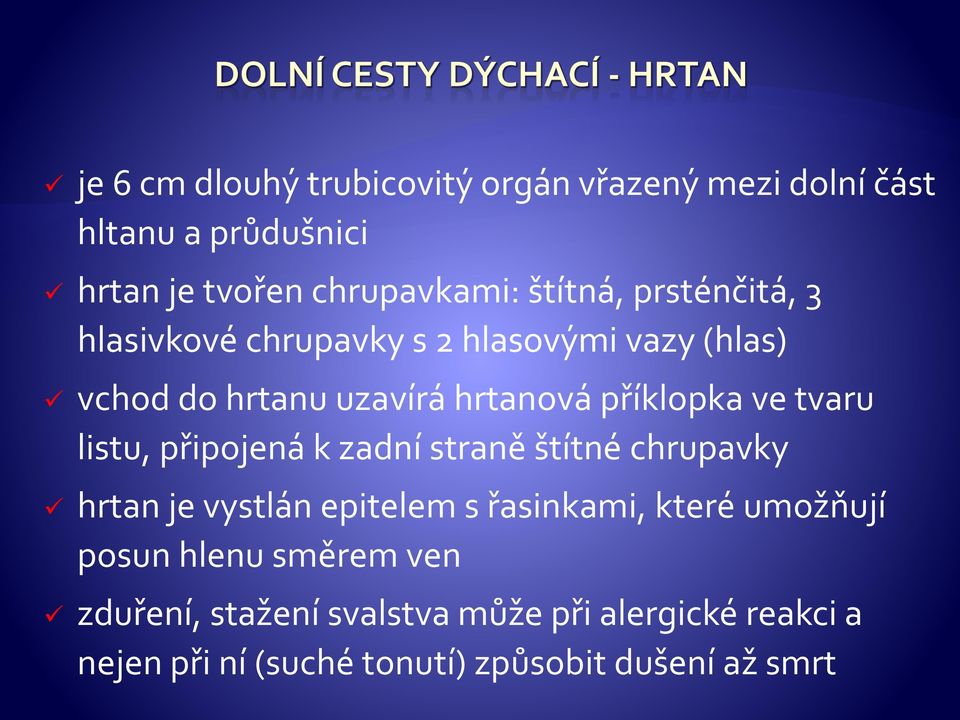 listu, připojená k zadní straně štítné chrupavky hrtan je vystlán epitelem s řasinkami, které umožňují posun hlenu