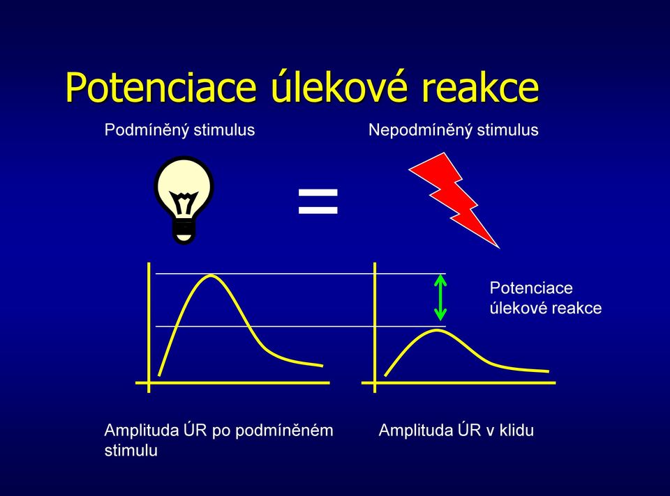 Potenciace úlekové reakce Amplituda