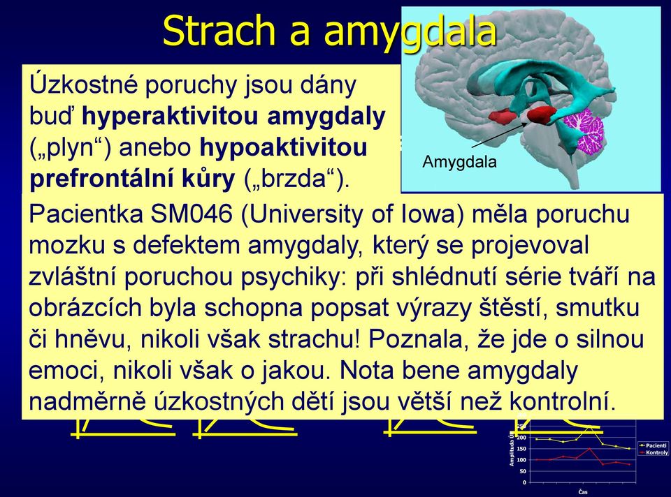 Pacientka SM046 (University of Iowa) měla poruchu mozku Není Potenciace potenciace s defektem úlekové amygdaly, reakce který na Potenciace se explicitní projevoval stimuly