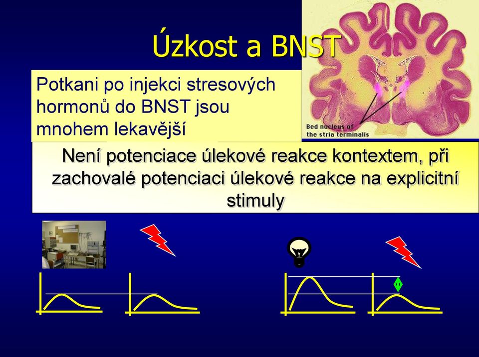 úlekové reakce kontextem, při zachovalé Potenciace