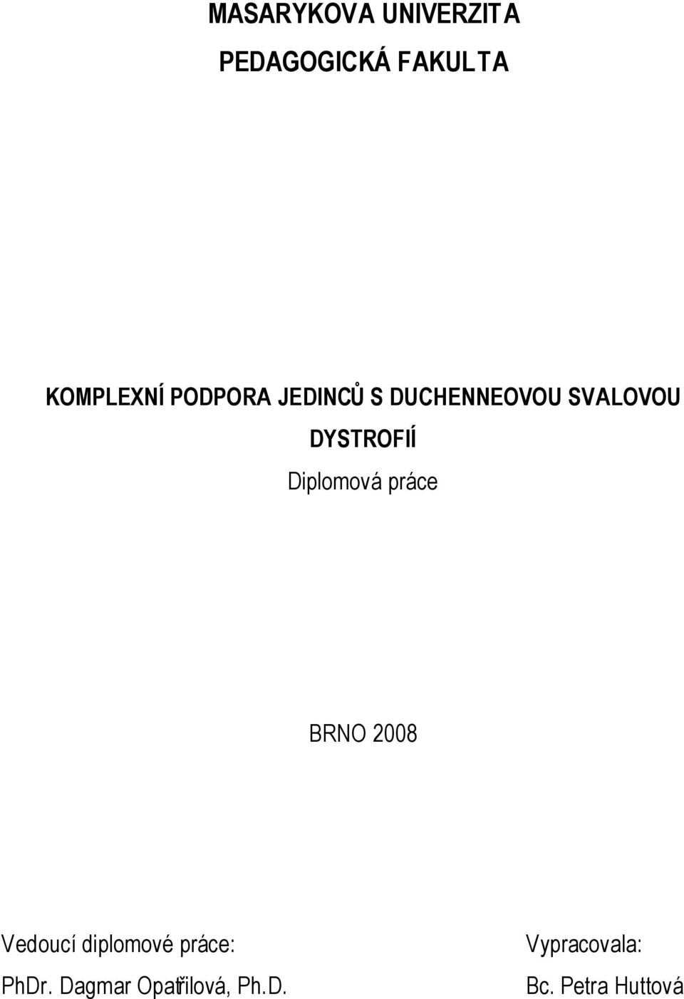 Diplomová práce BRNO 2008 Vedoucí diplomové práce: