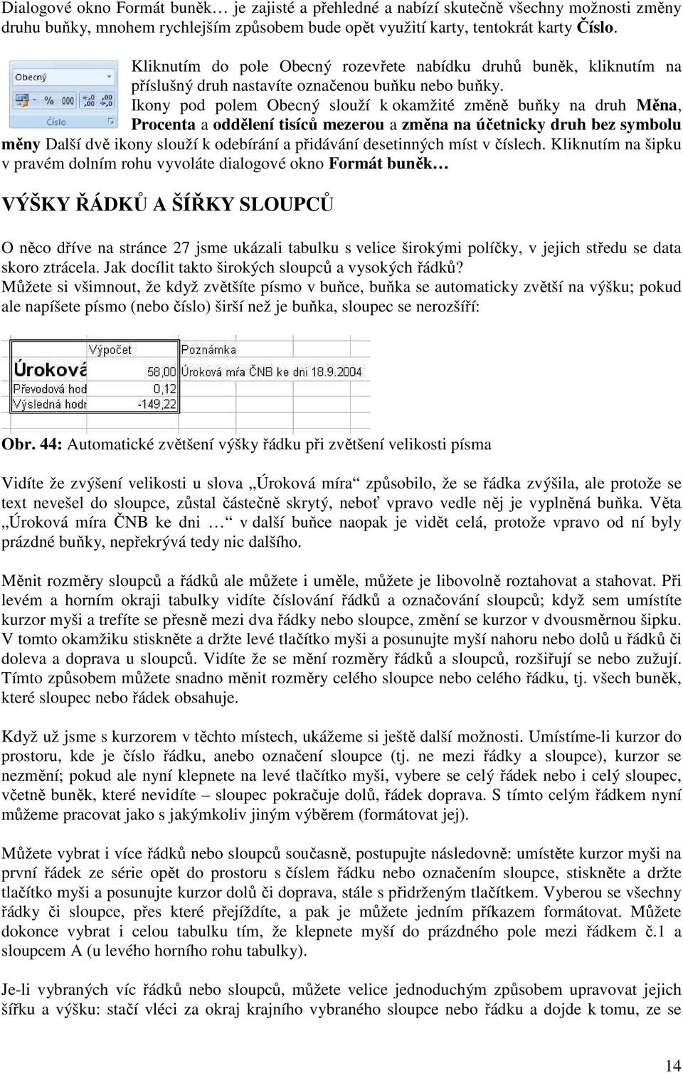 Ikony pod polem Obecný slouží k okamžité změně buňky na druh Měna, Procenta a oddělení tisíců mezerou a změna na účetnicky druh bez symbolu měny Další dvě ikony slouží k odebírání a přidávání