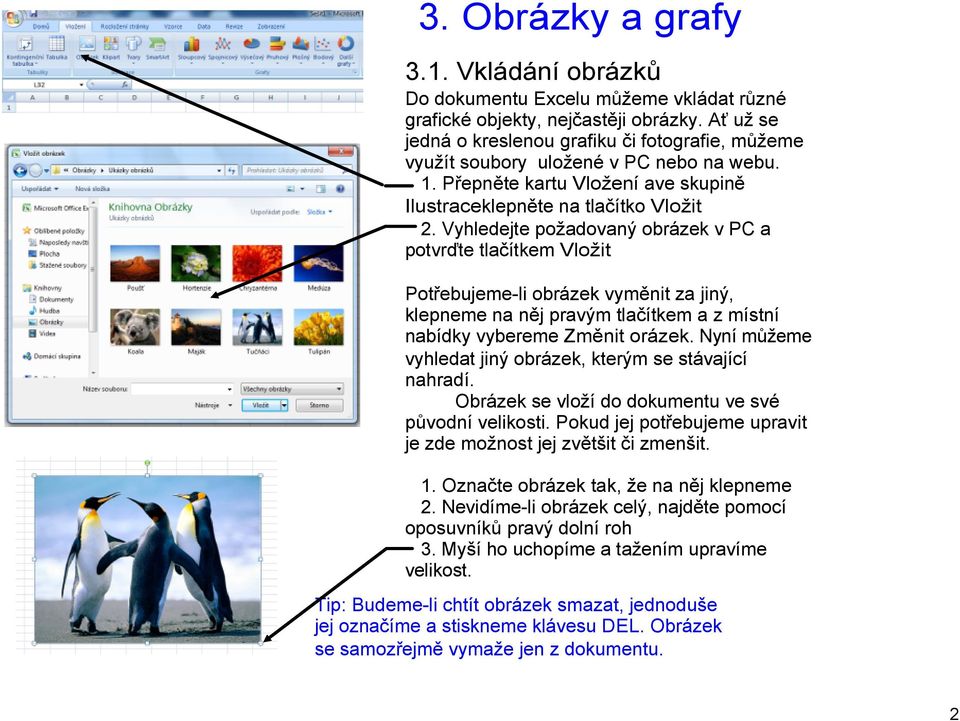 Vyhledejte požadovaný obrázek v PC a potvrďte tlačítkem Vložit Potřebujeme li obrázek vyměnit za jiný, klepneme na něj pravým tlačítkem a z místní nabídky vybereme Změnit orázek.