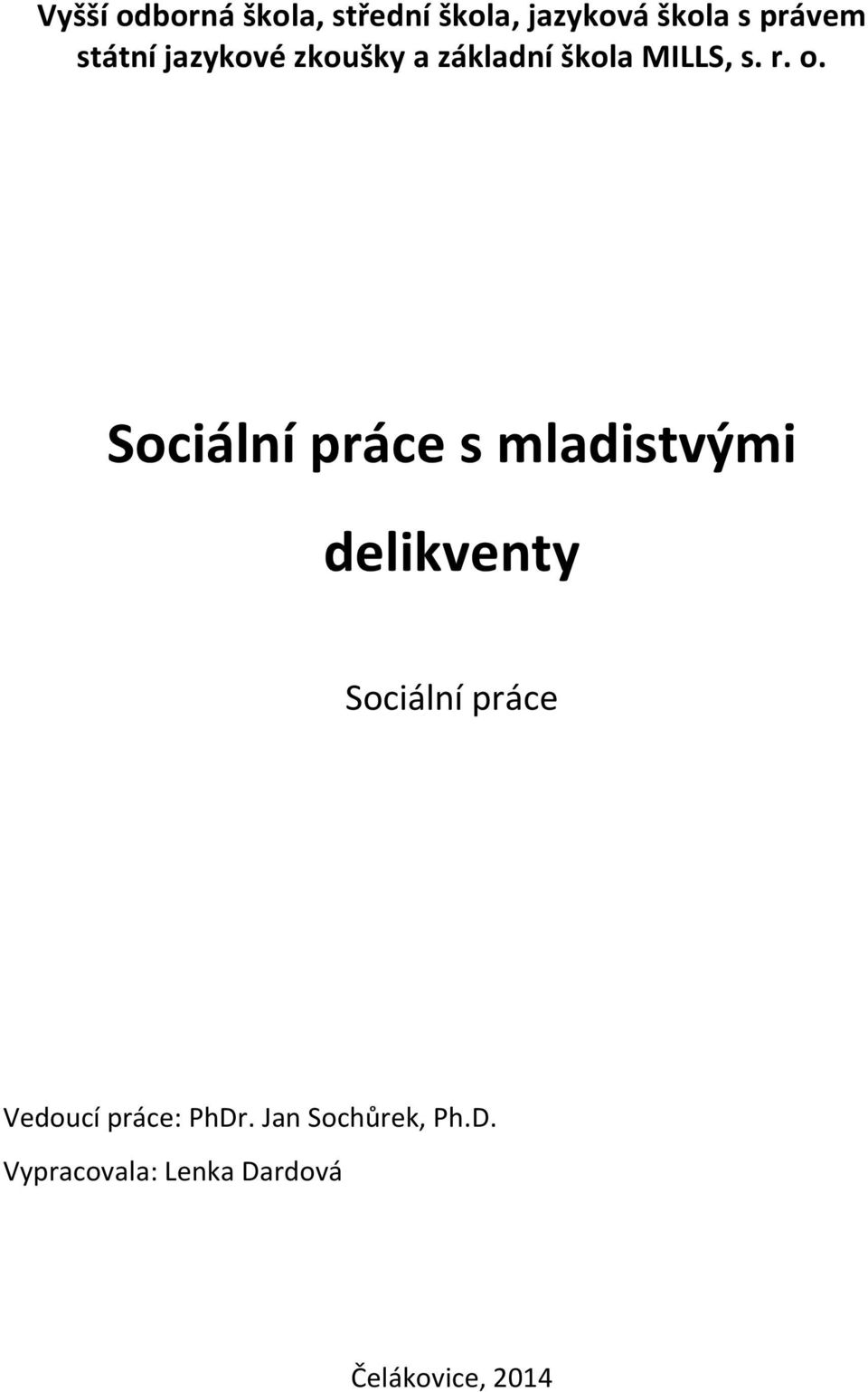 Sociální práce s mladistvými delikventy Sociální práce Vedoucí