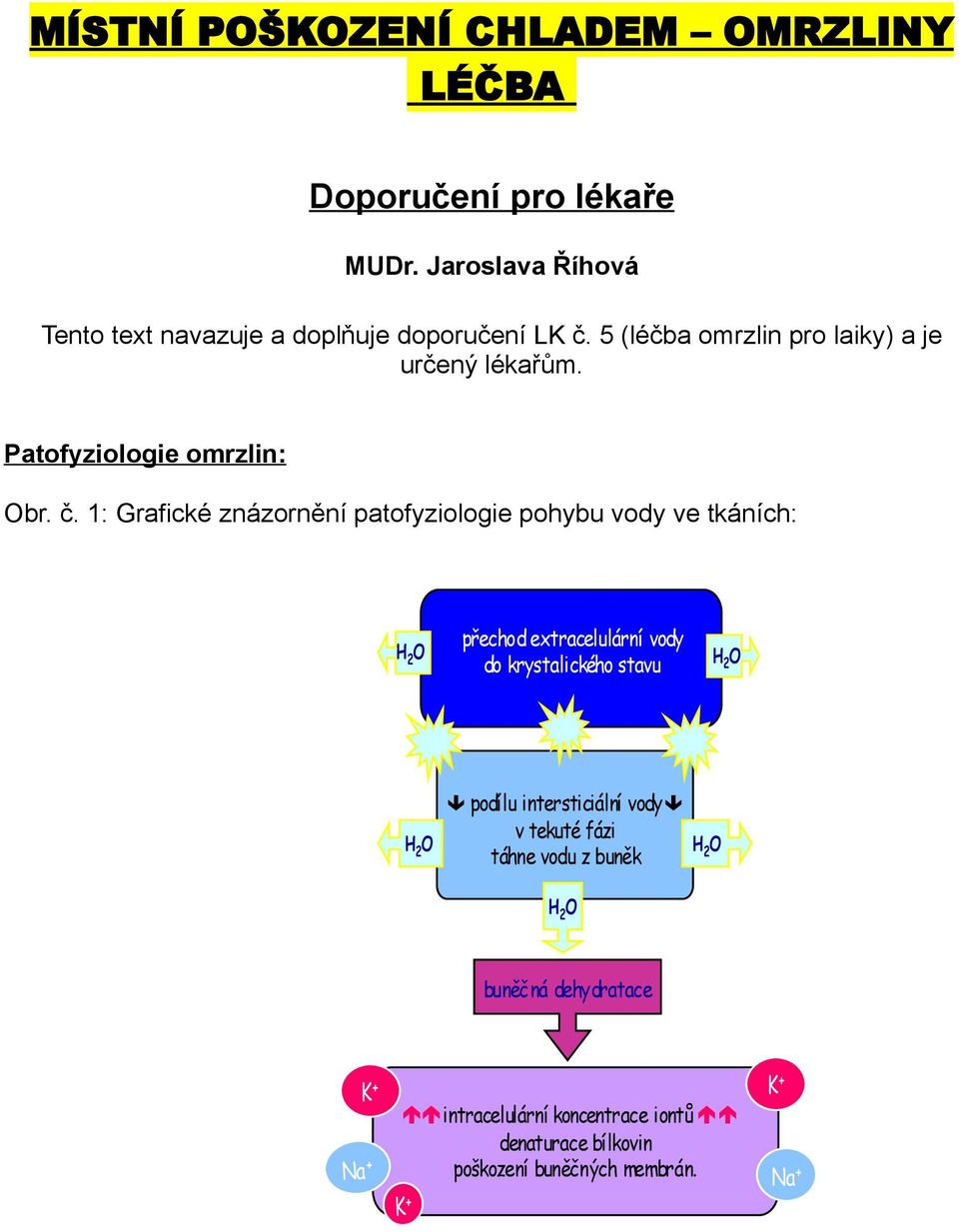 Patofyziologie omrzlin: Obr. č.