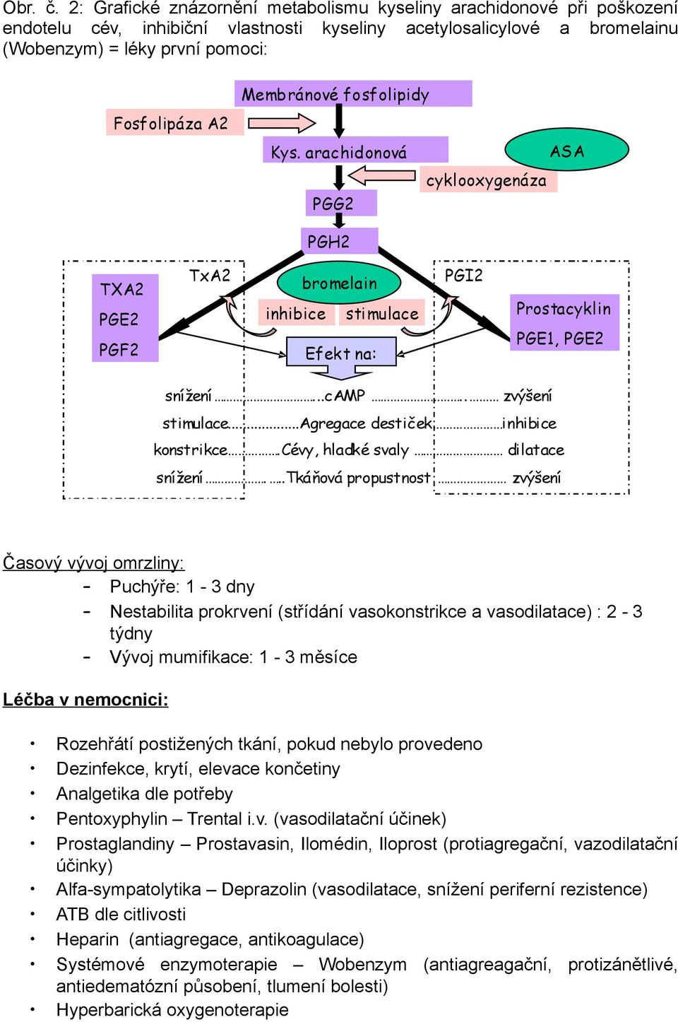 ránové fo sfolipidy Kys. arac hidonová ASA cyklooxygenáza PGG2 PGH2 TXA2 PGE2 PGF2 TxA2 bro melain inhibice sti mulace Efekt na: PGI2 Prostacyklin PGE1, PGE2 snížení...camp.. zvýšení stimulace.