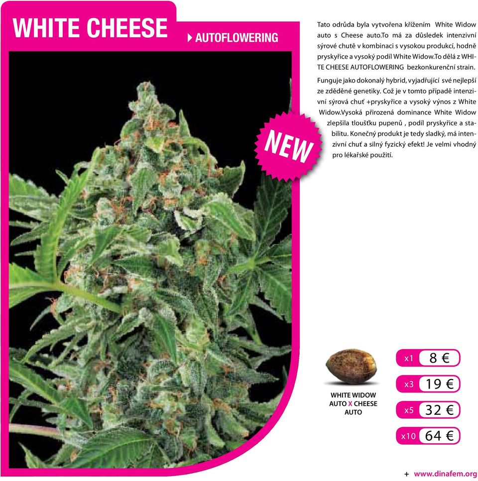 To dělá z WHI- TE CHEESE AUTOFLOWERING bezkonkurenční strain. Funguje jako dokonalý hybrid, vyjadřující své nejlepší ze zděděné genetiky.