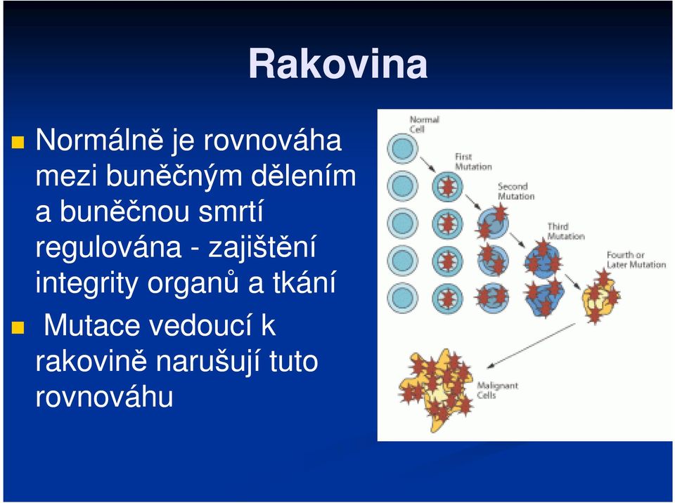 regulována - zajištění integrity organů a