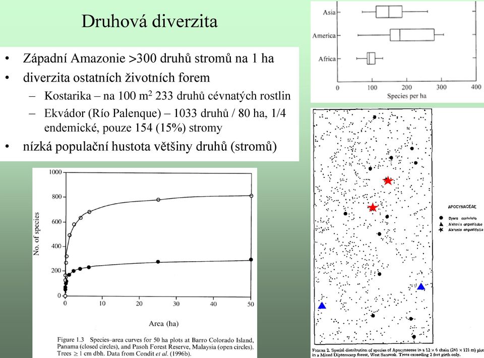 cévnatých rostlin Ekvádor (Río Palenque) 1033 druhů / 80 ha, 1/4