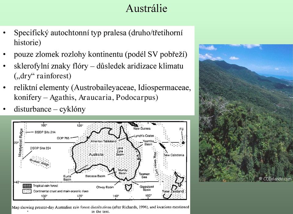 důsledek aridizace klimatu ( dry rainforest) reliktní elementy