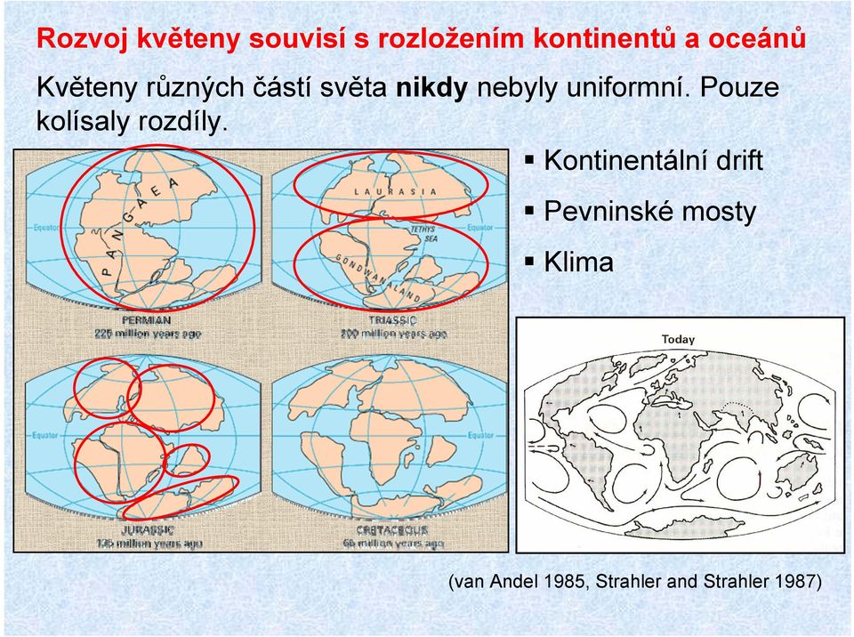 uniformní. Pouze kolísaly rozdíly.