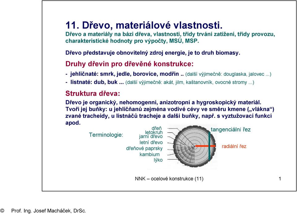 ..) - listnaté: dub, bu... (další výjimečně: aát, jilm, aštanovní, ovocné stromy...) Strutura dřeva: Dřevo je organicý, nehomogenní, anizotropní a hygrosopicý materiál.