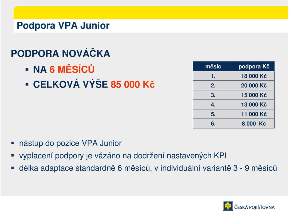 8 000 Kč nástup do pozice VPA Junior vyplacení podpory je vázáno na dodržení