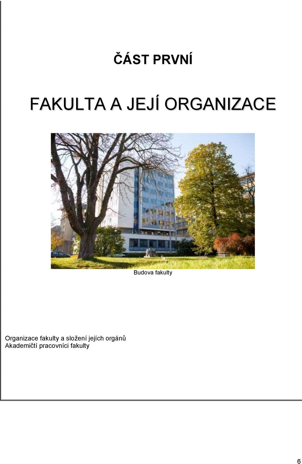 Organizace fakulty a složení