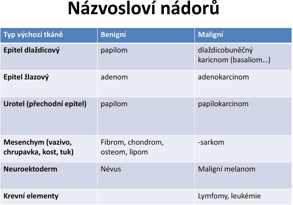 (přechodní epitel) papilom papilokarcinom Mesenchym (vazivo, chrupavka, kost, tuk)