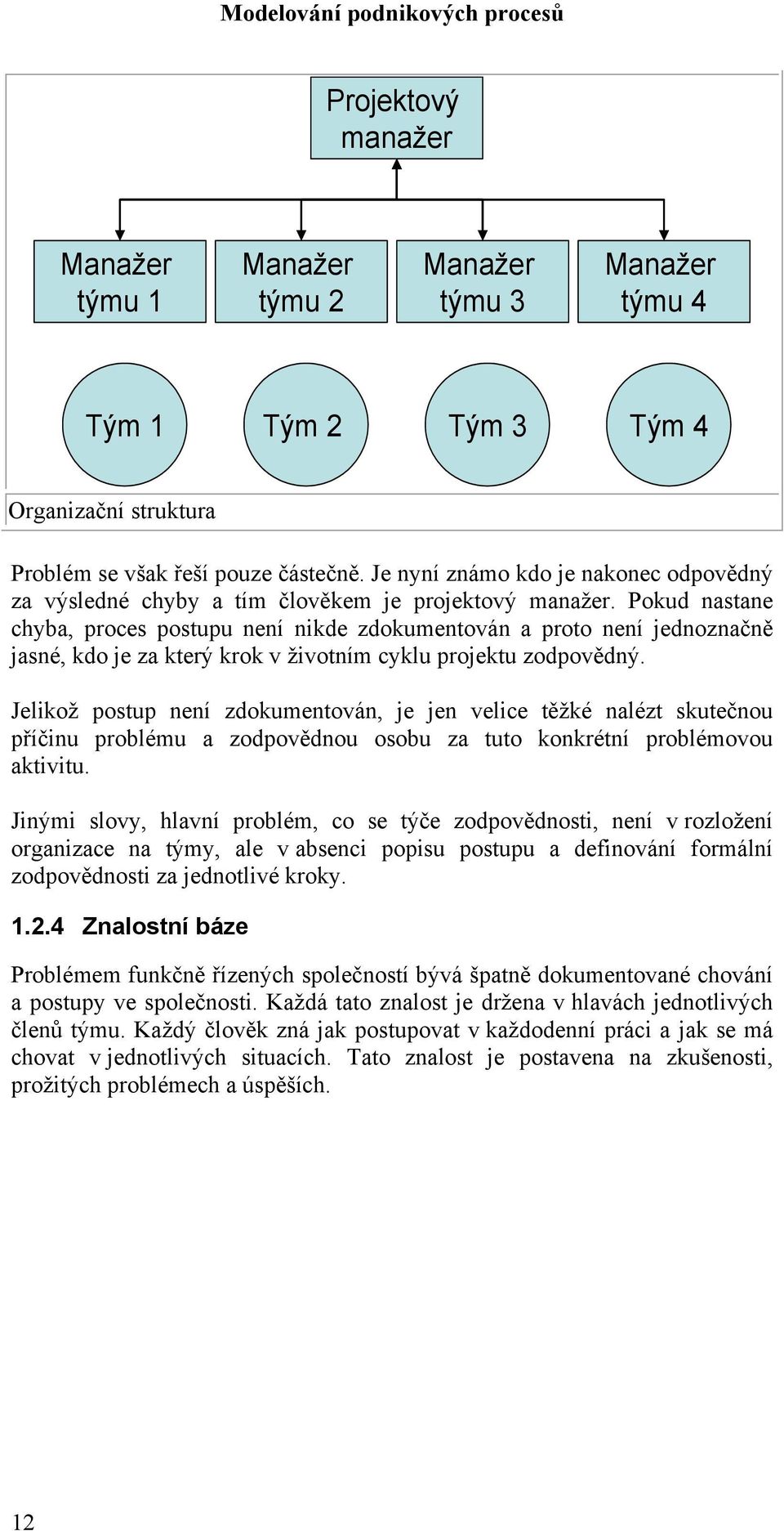 Pokud nastane chyba, proces postupu není nikde zdokumentován a proto není jednoznačně jasné, kdo je za který krok v životním cyklu projektu zodpovědný.