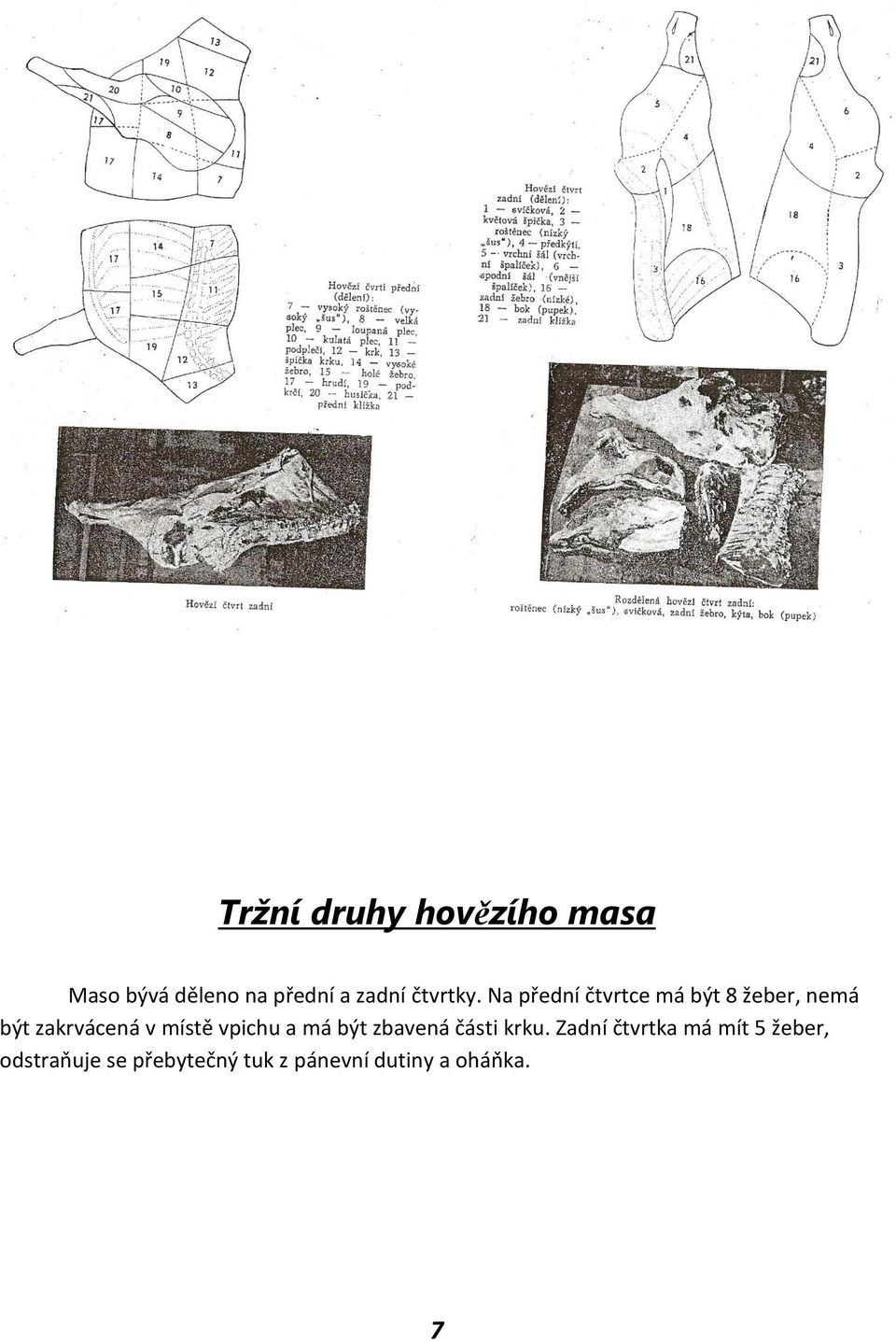 Na přední čtvrtce má být 8 žeber, nemá být zakrvácená v místě