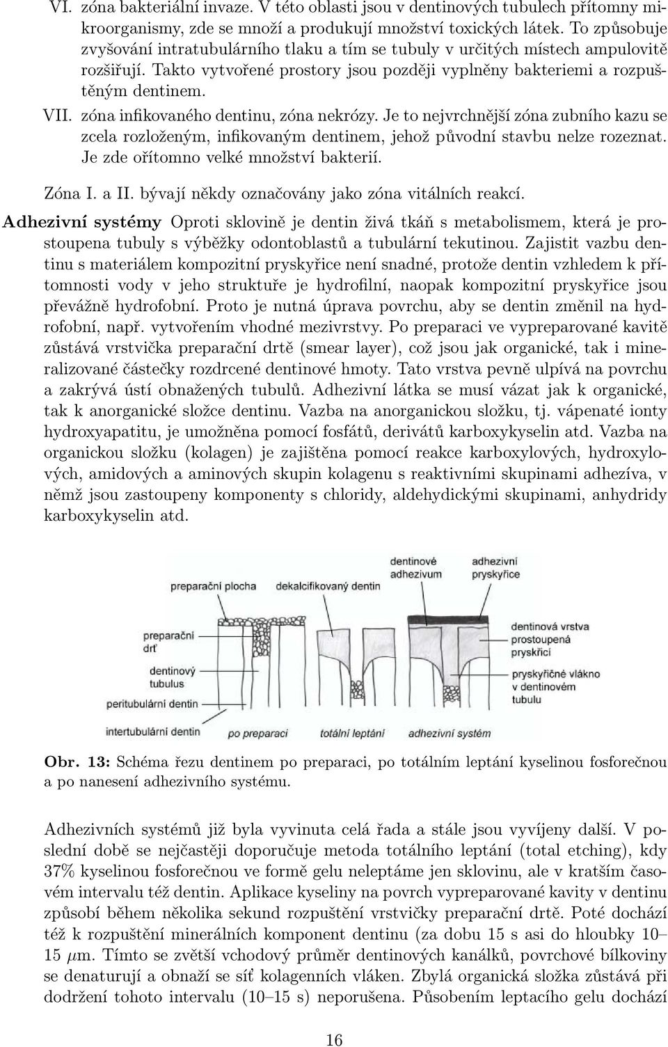 zóna infikovaného dentinu, zóna nekrózy. Je to nejvrchnější zóna zubního kazu se zcela rozloženým, infikovaným dentinem, jehož původní stavbu nelze rozeznat. Je zde ořítomno velké množství bakterií.