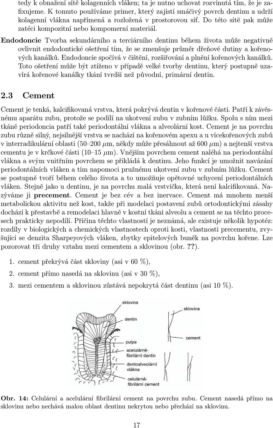 Endodoncie Tvorba sekundárního a terciárního dentinu během života může negativně ovlivnit endodontické ošetření tím, že se zmenšuje průměr dřeňové dutiny a kořenových kanálků.
