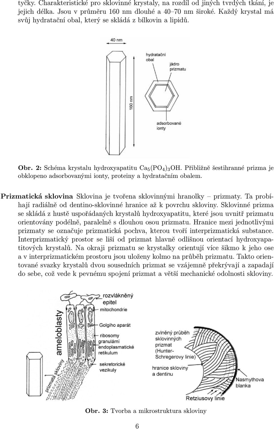Přibližně šestihranné prizma je obklopeno adsorbovanými ionty, proteiny a hydratačním obalem. Prizmatická sklovina Sklovina je tvořena sklovinnými hranolky prizmaty.