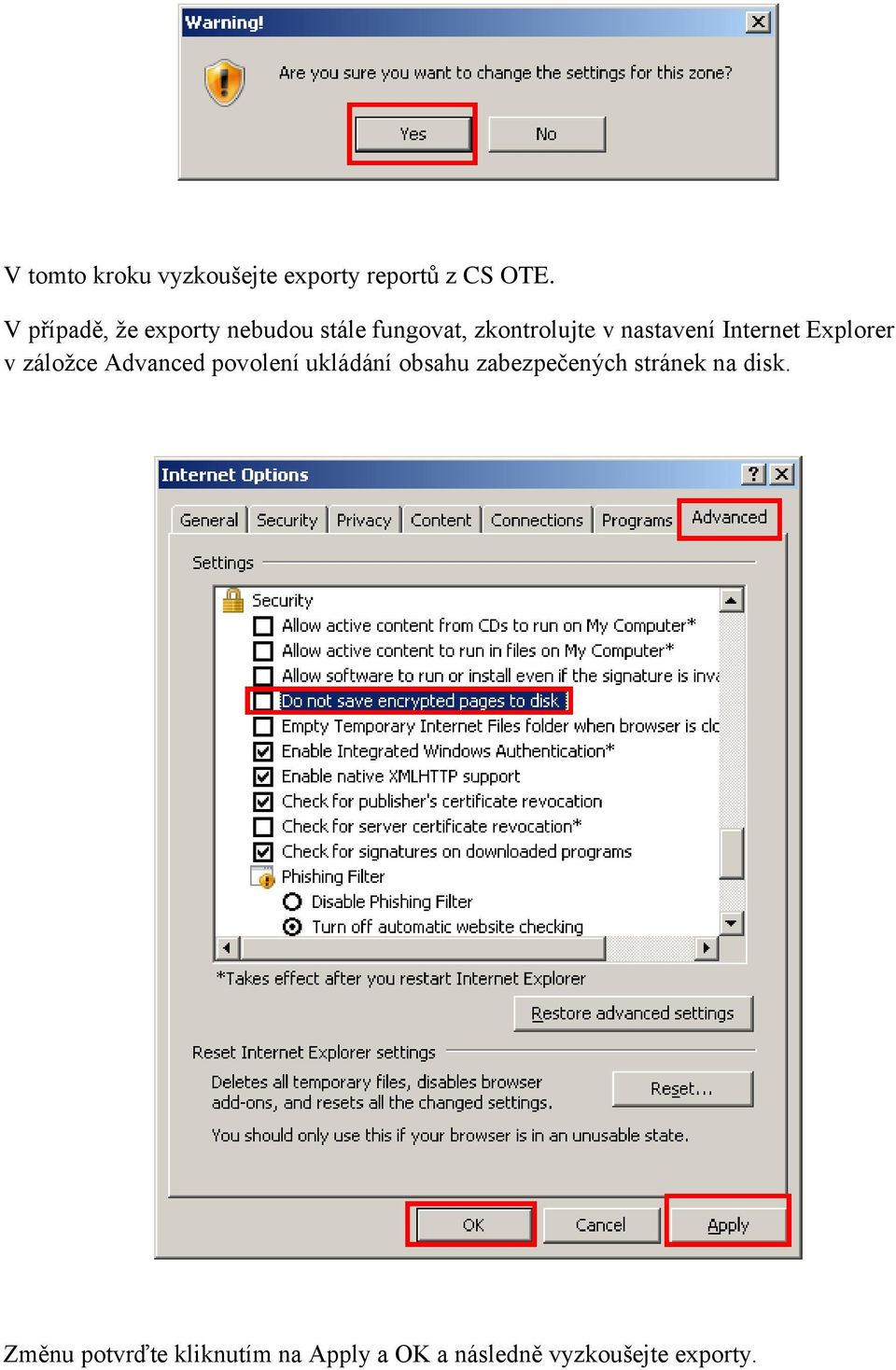 Internet Explorer v záložce Advanced povolení ukládání obsahu