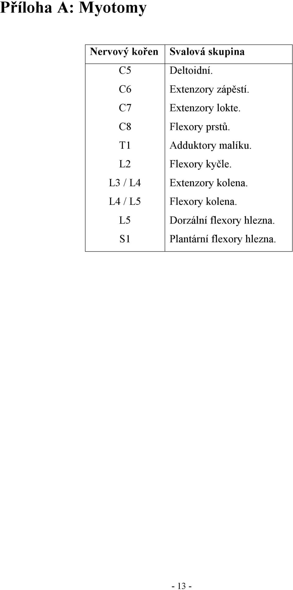 Flexory prstů. Adduktory malíku. Flexory kyčle. Extenzory kolena.