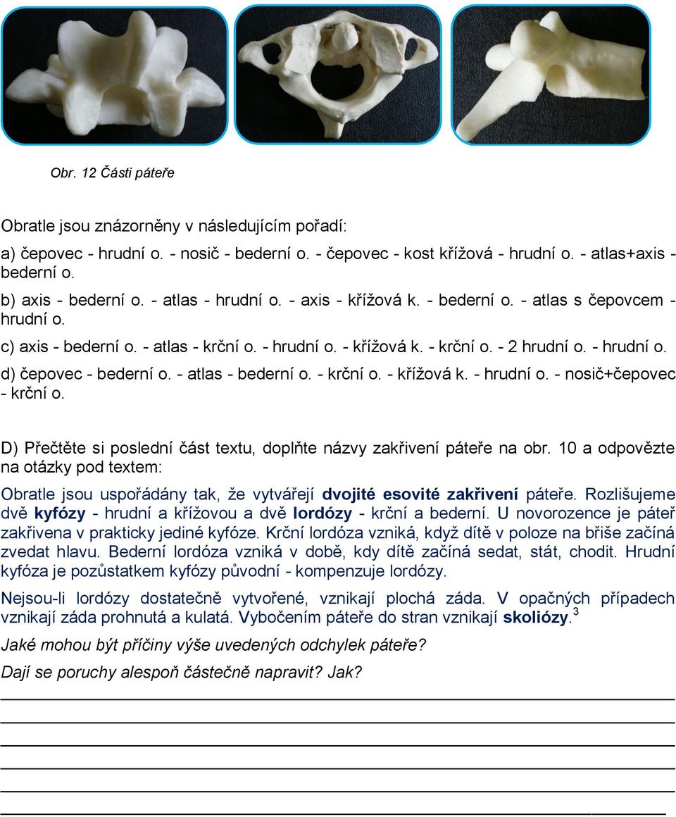 - atlas - bederní o. - krční o. - křížová k. - hrudní o. - nosič+čepovec - krční o. D) Přečtěte si poslední část textu, doplňte názvy zakřivení páteře na obr.