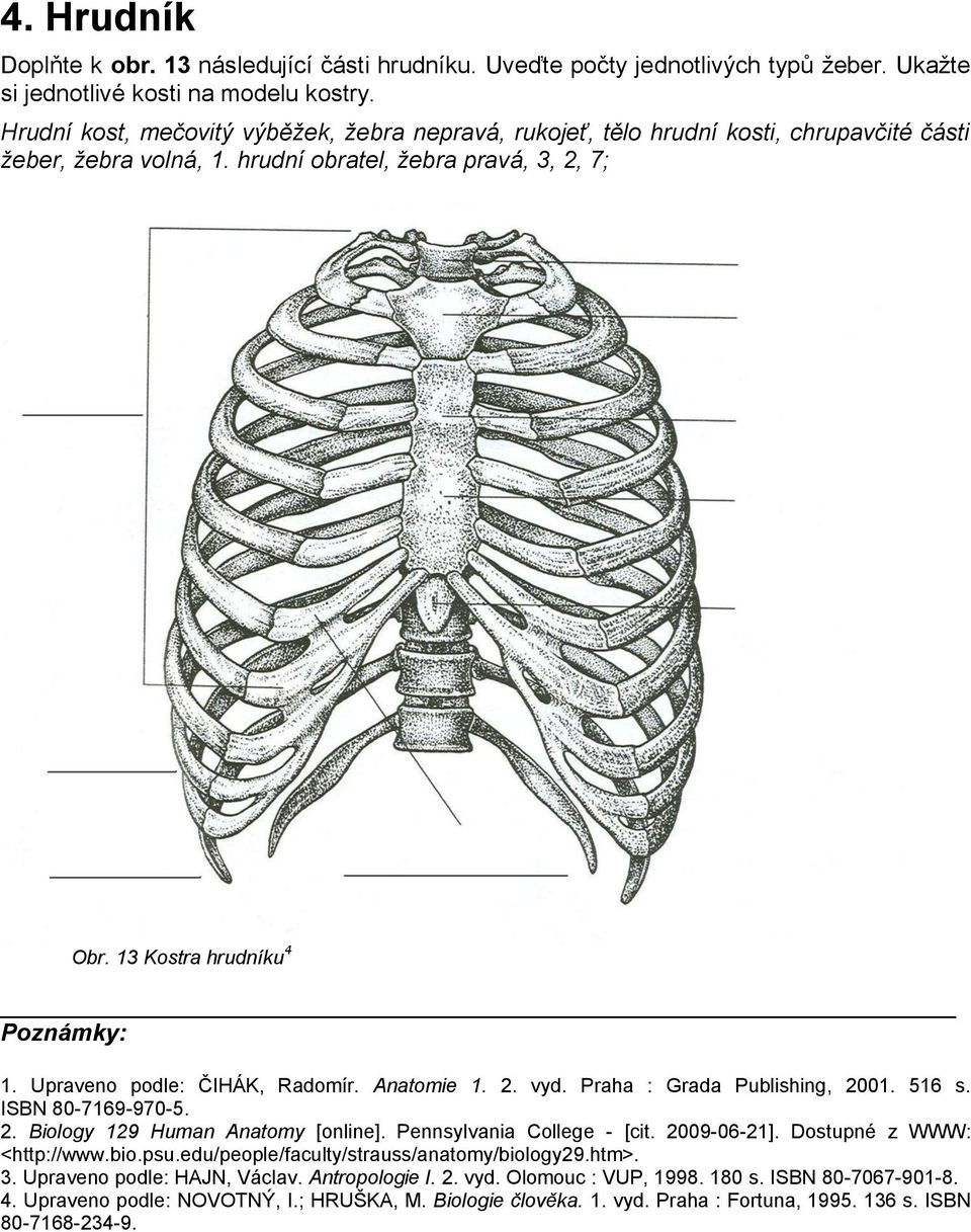 Upraveno podle: ČIHÁK, Radomír. Anatomie 1. 2. vyd. Praha : Grada Publishing, 2001. 516 s. ISBN 80-7169-970-5. 2. Biology 129 Human Anatomy [online]. Pennsylvania College - [cit. 2009-06-21].