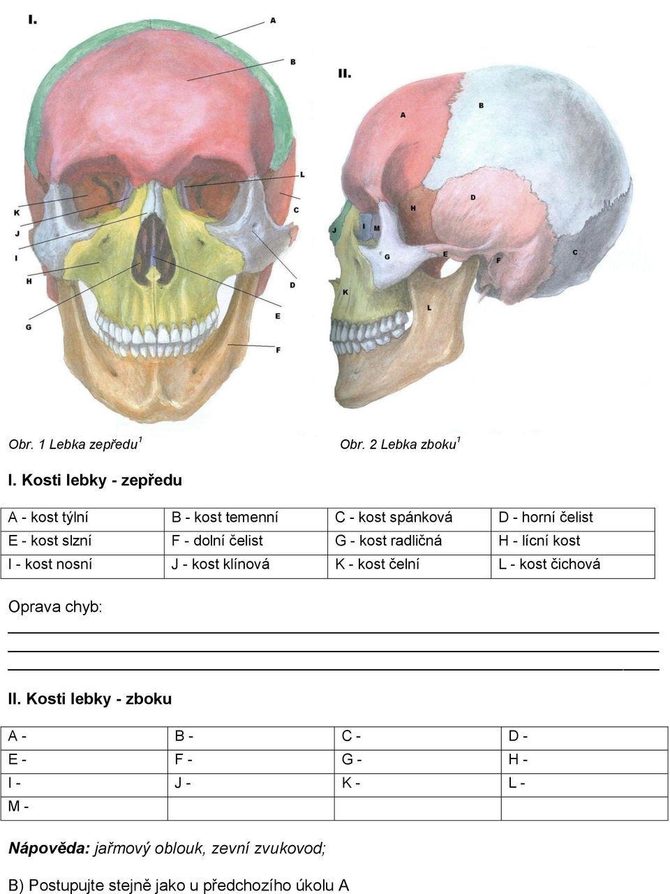 dolní čelist G - kost radličná H - lícní kost I - kost nosní J - kost klínová K - kost čelní L - kost čichová