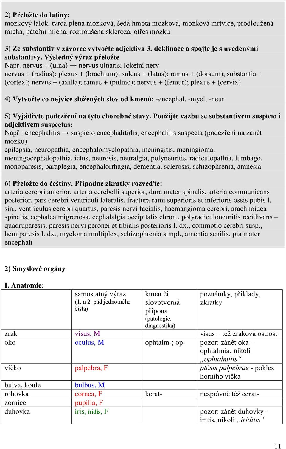 nervus + (ulna) nervus ulnaris; loketní nerv nervus + (radius); plexus + (brachium); sulcus + (latus); ramus + (dorsum); substantia + (cortex); nervus + (axilla); ramus + (pulmo); nervus + (femur);