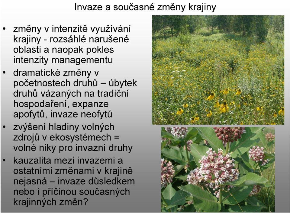 zvýšení hladiny volných zdrojů v ekosystémech = volné niky pro invazní druhy kauzalita mezi invazemi a ostatními