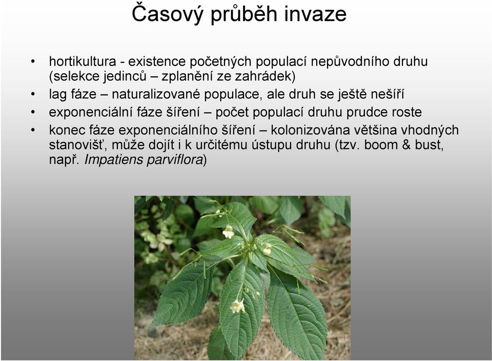 šíření počet populací druhu prudce roste konec fáze exponenciálního šíření kolonizována většina