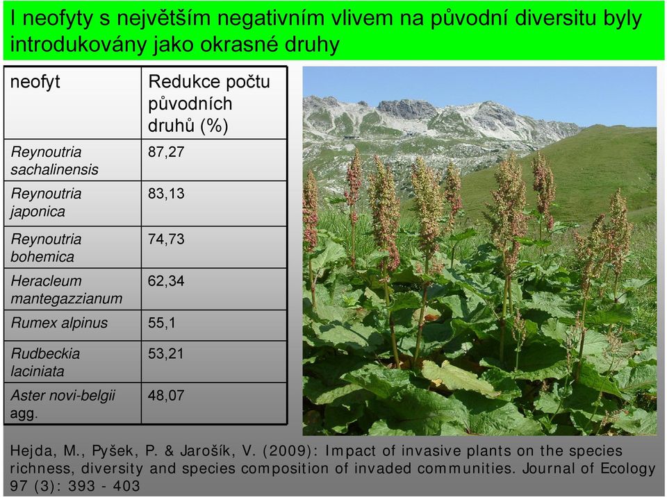 mantegazzianum Rumex alpinus 55,1 Rudbeckia laciniata Aster novi-belgii agg. 53,21 48,07 Hejda, M., Pyšek, P. & Jarošík, V.