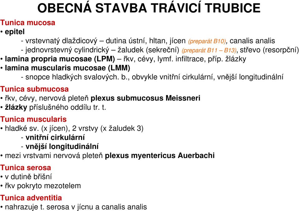 , obvykle vnitřní cirkulární, vnější longitudinální Tunica submucosa řkv, cévy, nervová pleteň plexus submucosus Meissneri žlázky příslušného oddílu tr. t. Tunica muscularis hladké sv.