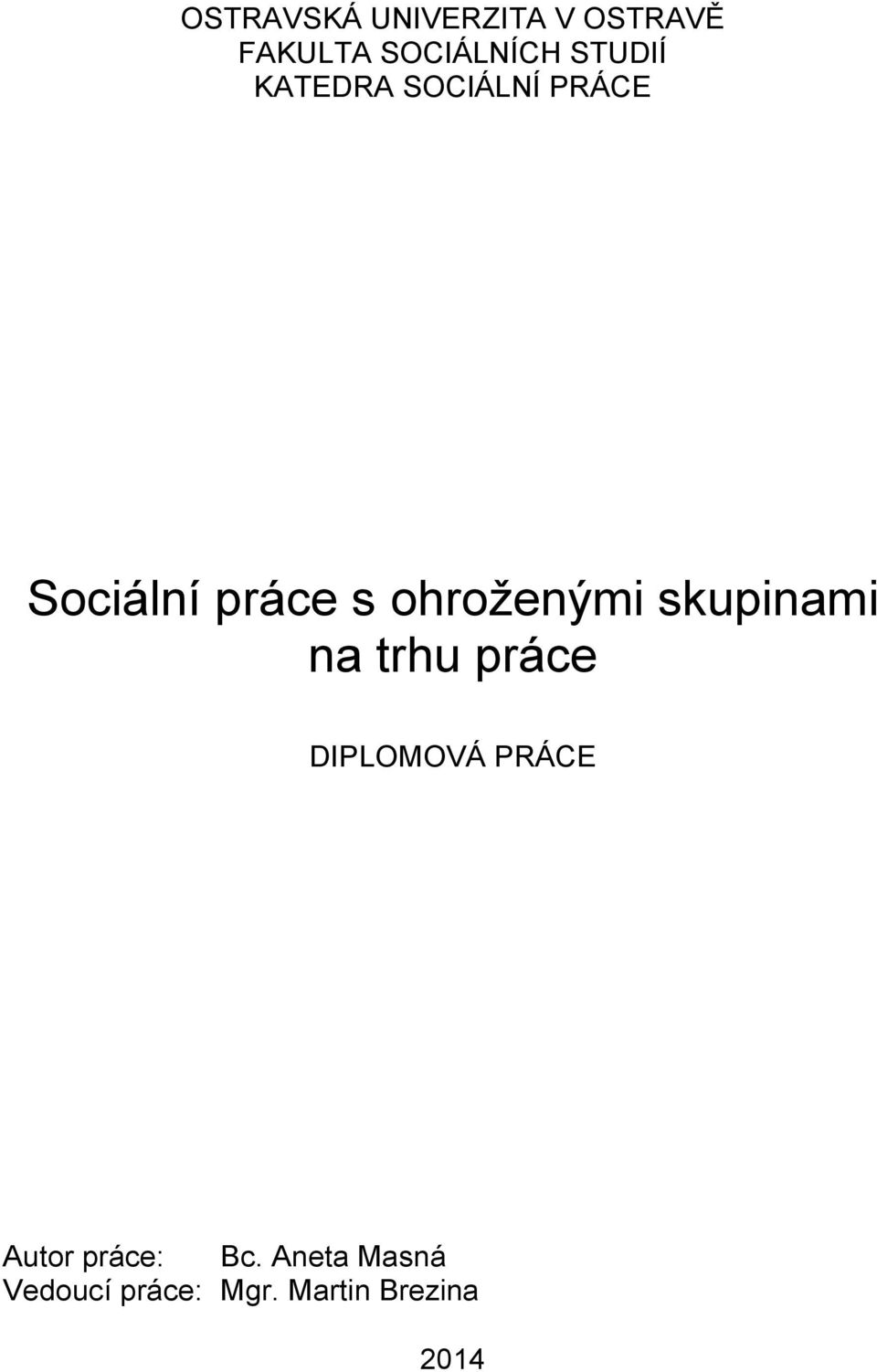 ohroženými skupinami na trhu práce DIPLOMOVÁ PRÁCE