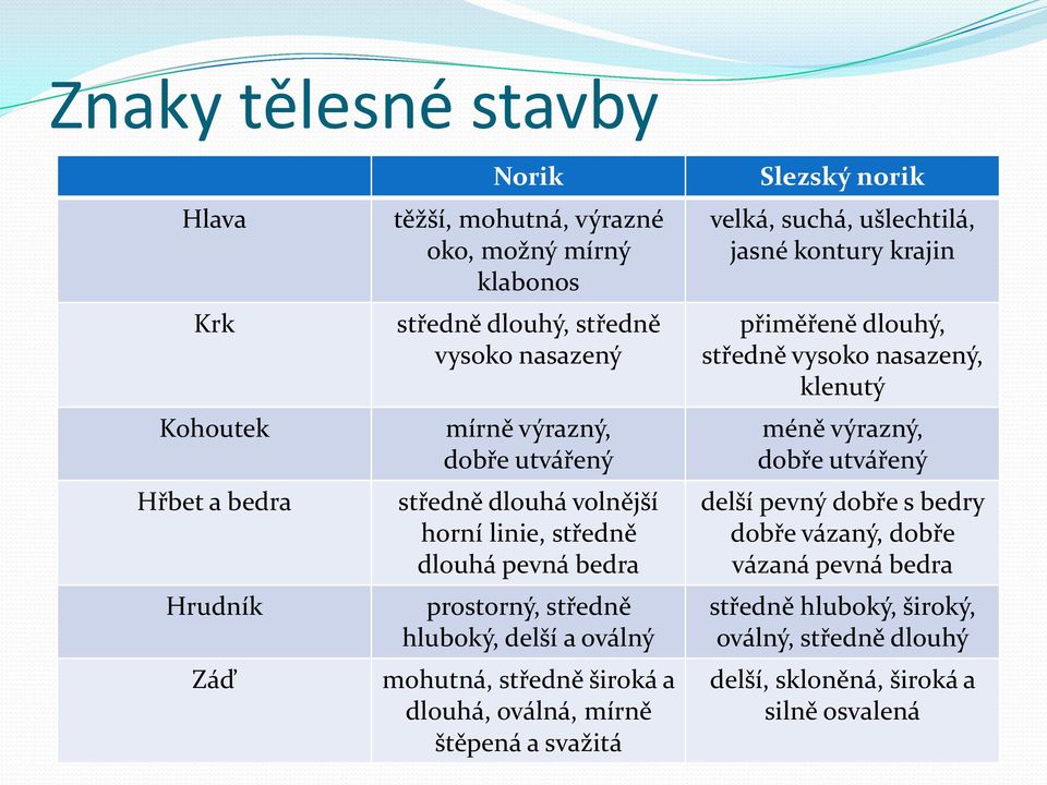 dlouhá, oválná, mírně štěpená a svažitá Slezský norik velká, suchá, ušlechtilá, jasné kontury krajin přiměřeně dlouhý, středně vysoko nasazený, klenutý méně