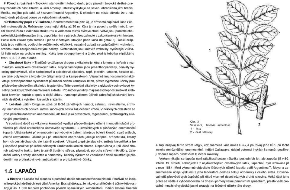 Ct Botanický popis > Vilkakora, Uncar/atomentosa (obr. 3), je dřevnatá popínavá liána z čeledi mořenovitých, Rubiaceae, dosahující délky až 30 m.