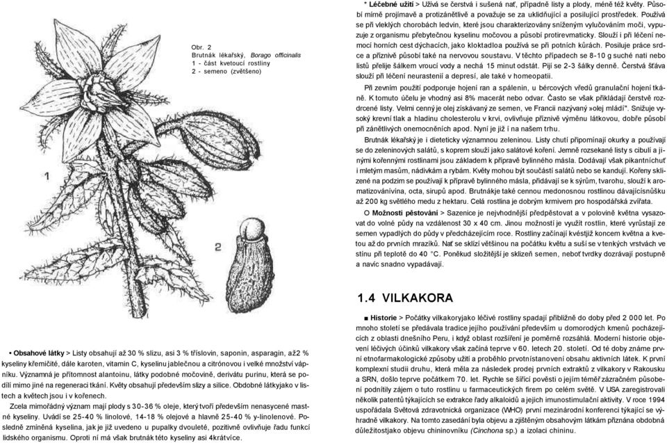 Používá se při vleklých chorobách ledvin, které jsou charakterizovány sníženým vylučováním moči, vypuzuje z organismu přebytečnou kyselinu močovou a působí protirevmaticky.