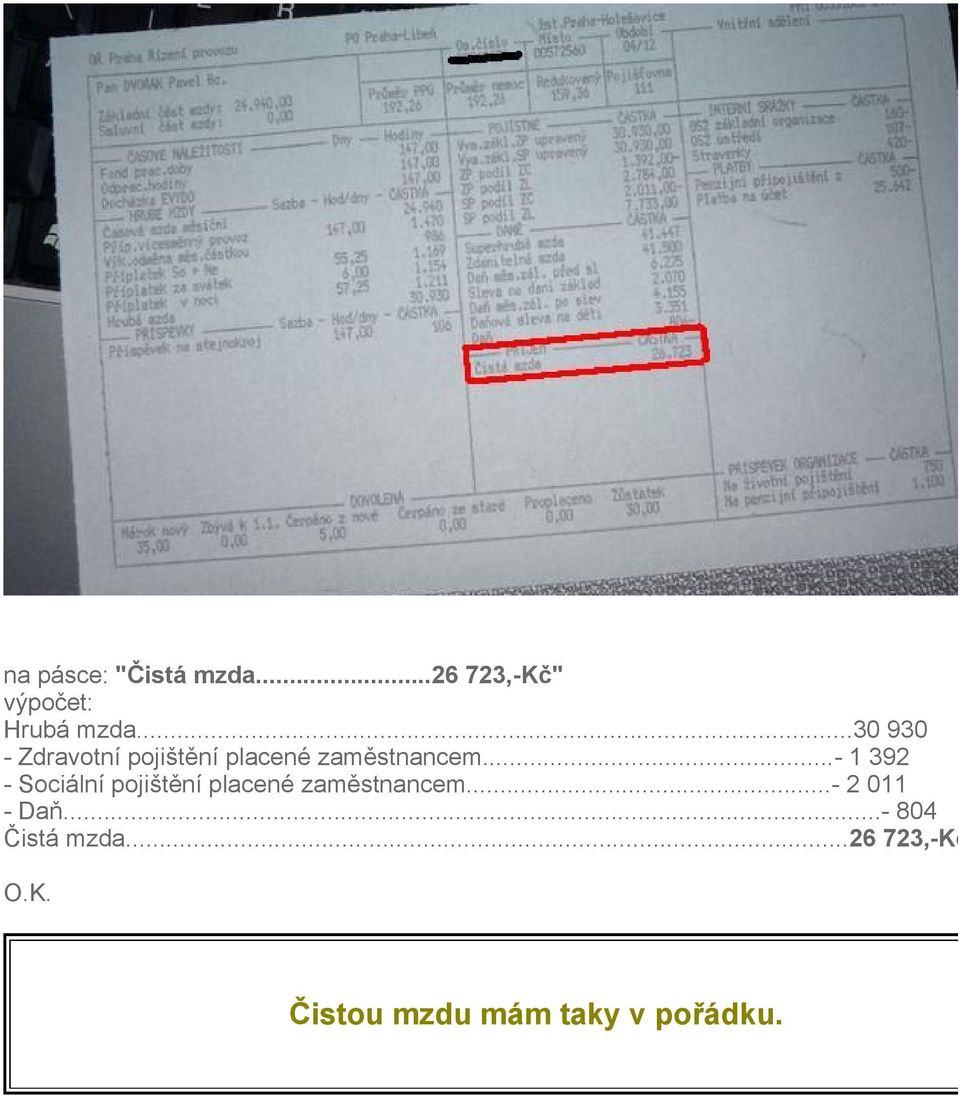 ..- 1 392 - Sociální pojištění placené zaměstnancem.