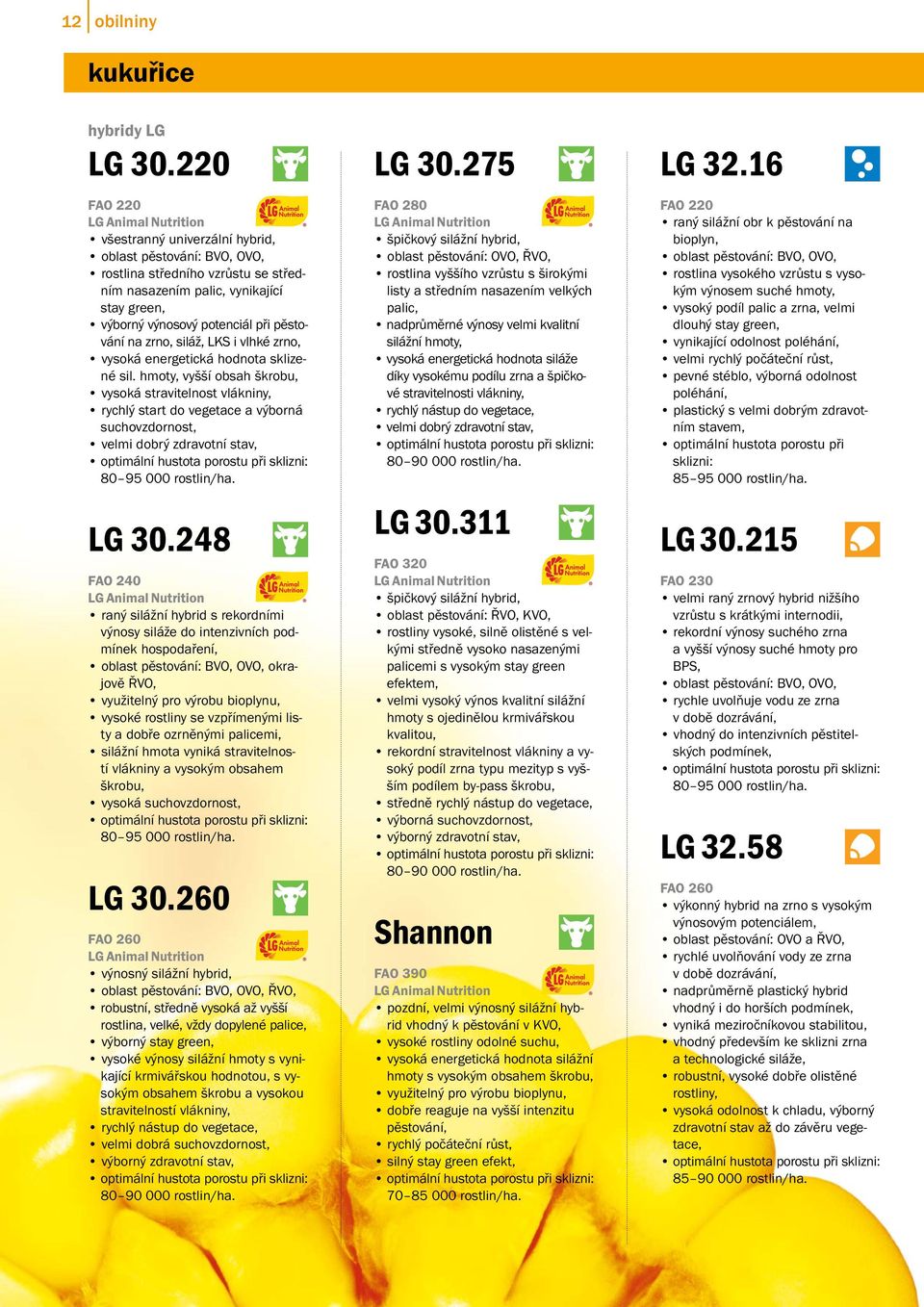 při pěstování na zrno, siláž, LKS i vlhké zrno, vysoká energetická hodnota sklizené sil.