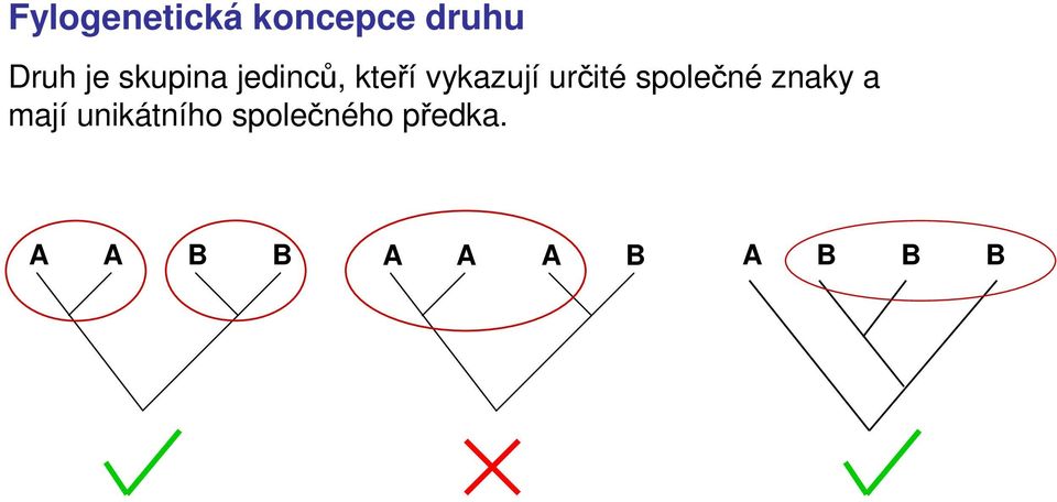 určité společné znaky a mají