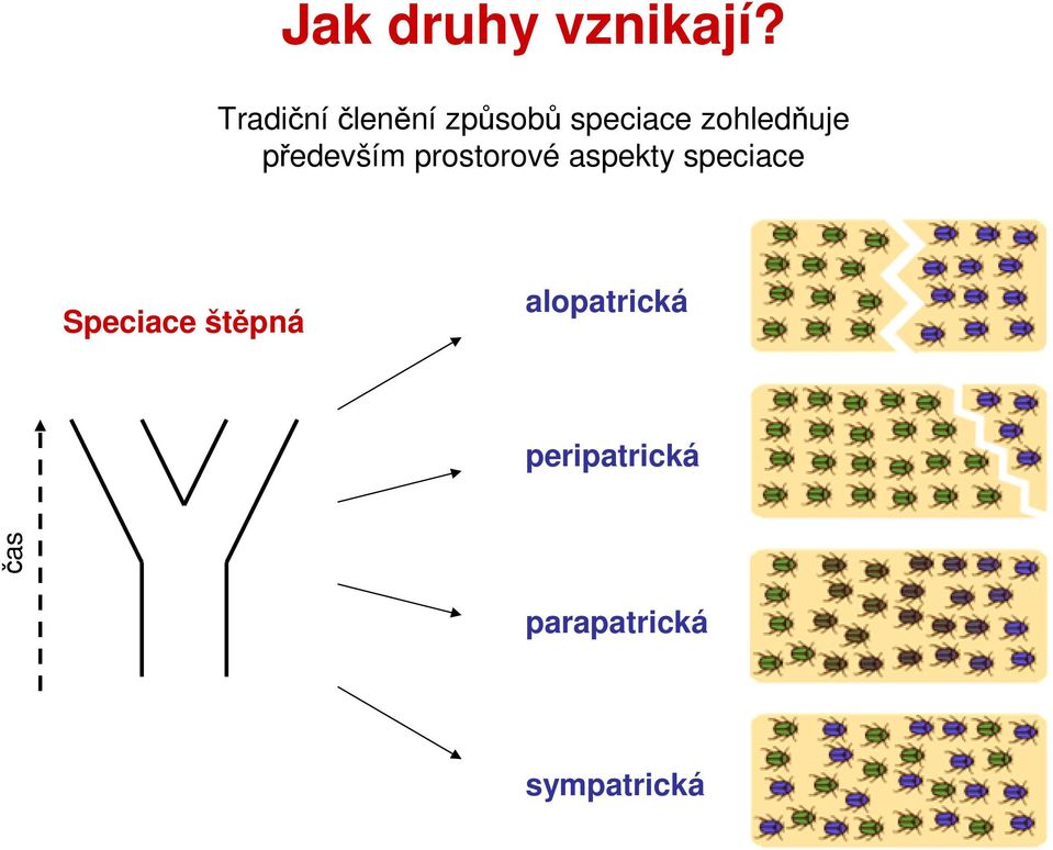 zohledňuje především prostorové aspekty