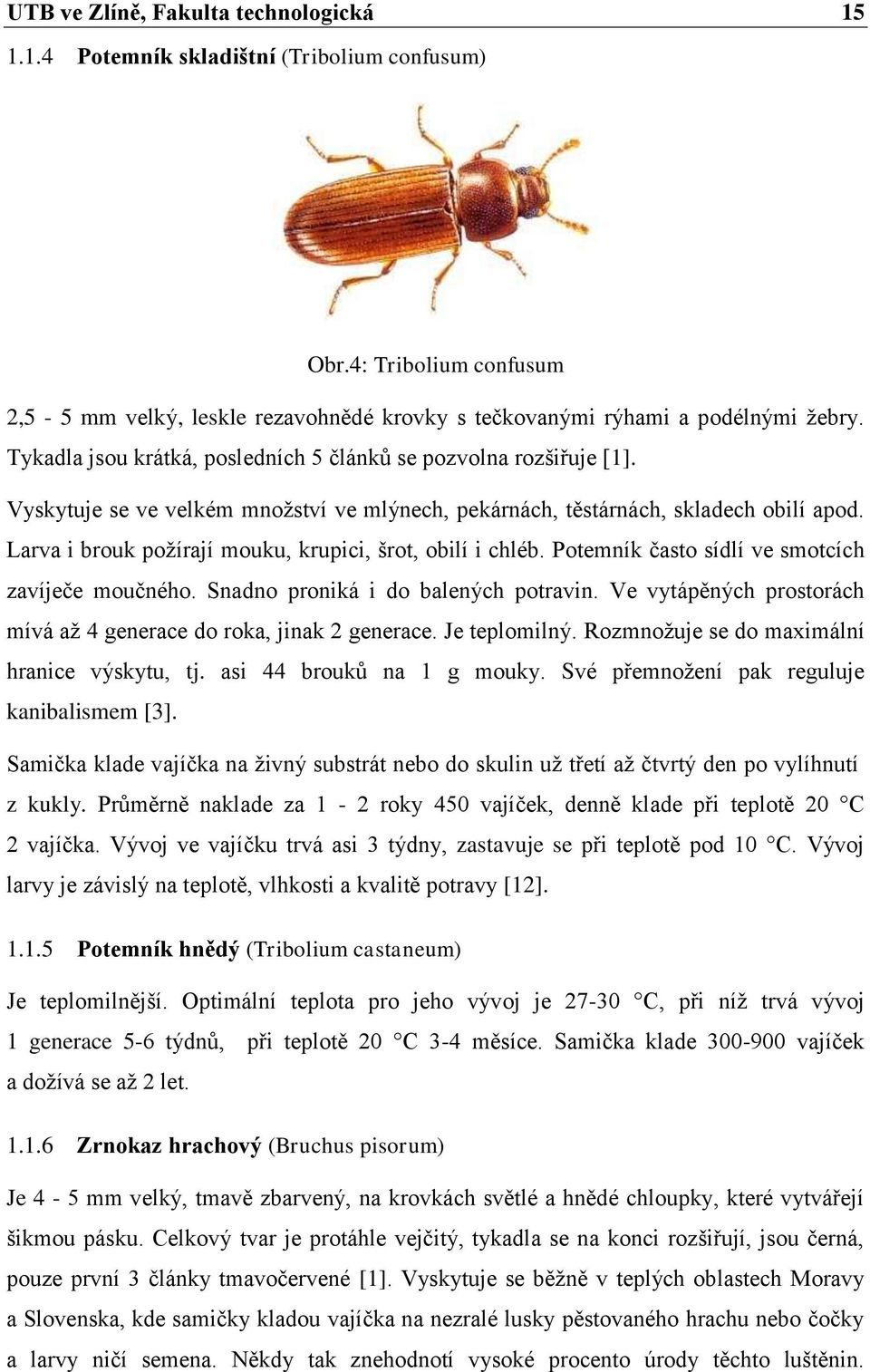 Larva i brouk požírají mouku, krupici, šrot, obilí i chléb. Potemník často sídlí ve smotcích zavíječe moučného. Snadno proniká i do balených potravin.