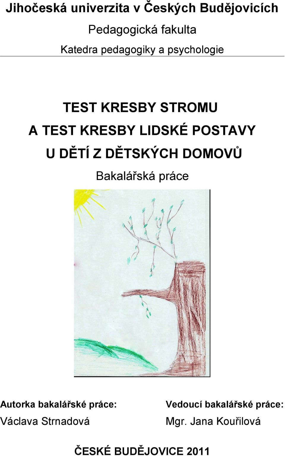 DĚTÍ Z DĚTSKÝCH DOMOVŮ Bakalářská práce Autorka bakalářské práce: Vedoucí