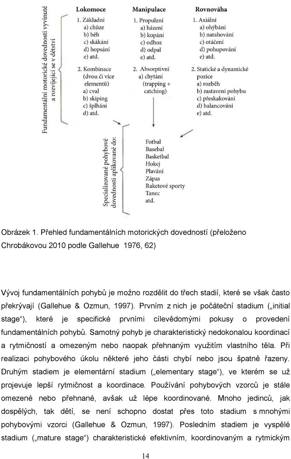 (Gallehue & Ozmun, 1997). Prvním z nich je počáteční stadium ( initial stage ), které je specifické prvními cílevědomými pokusy o provedení fundamentálních pohybů.