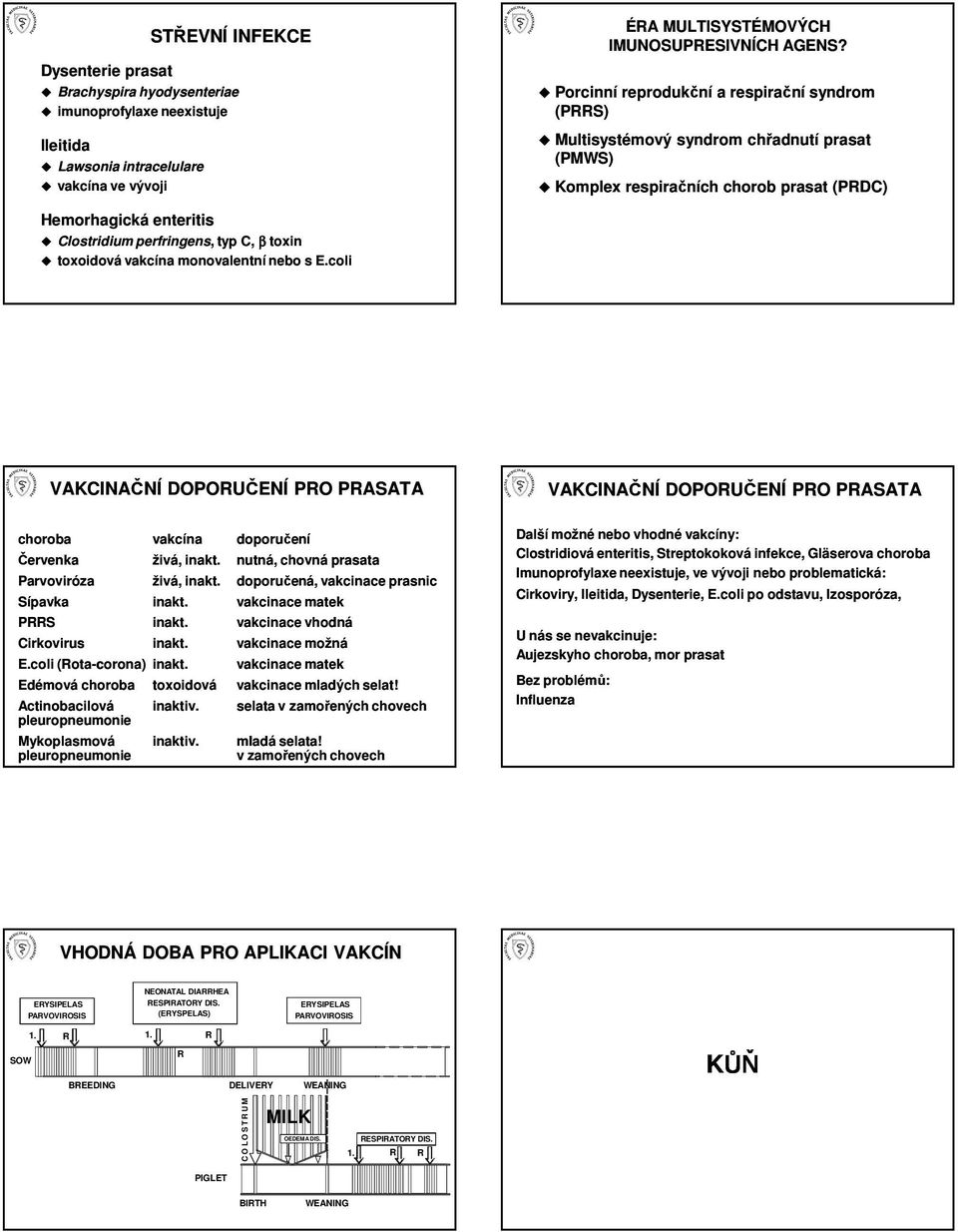 toxin toxoidová vakcína monovalentní nebo s E.coli VAKCINAČNÍ DOPORUČENÍ PRO PRASATA VAKCINAČNÍ DOPORUČENÍ PRO PRASATA choroba Červenka Parvoviróza Sípavka PRRS Cirkovirus vakcína živá, živá, E.