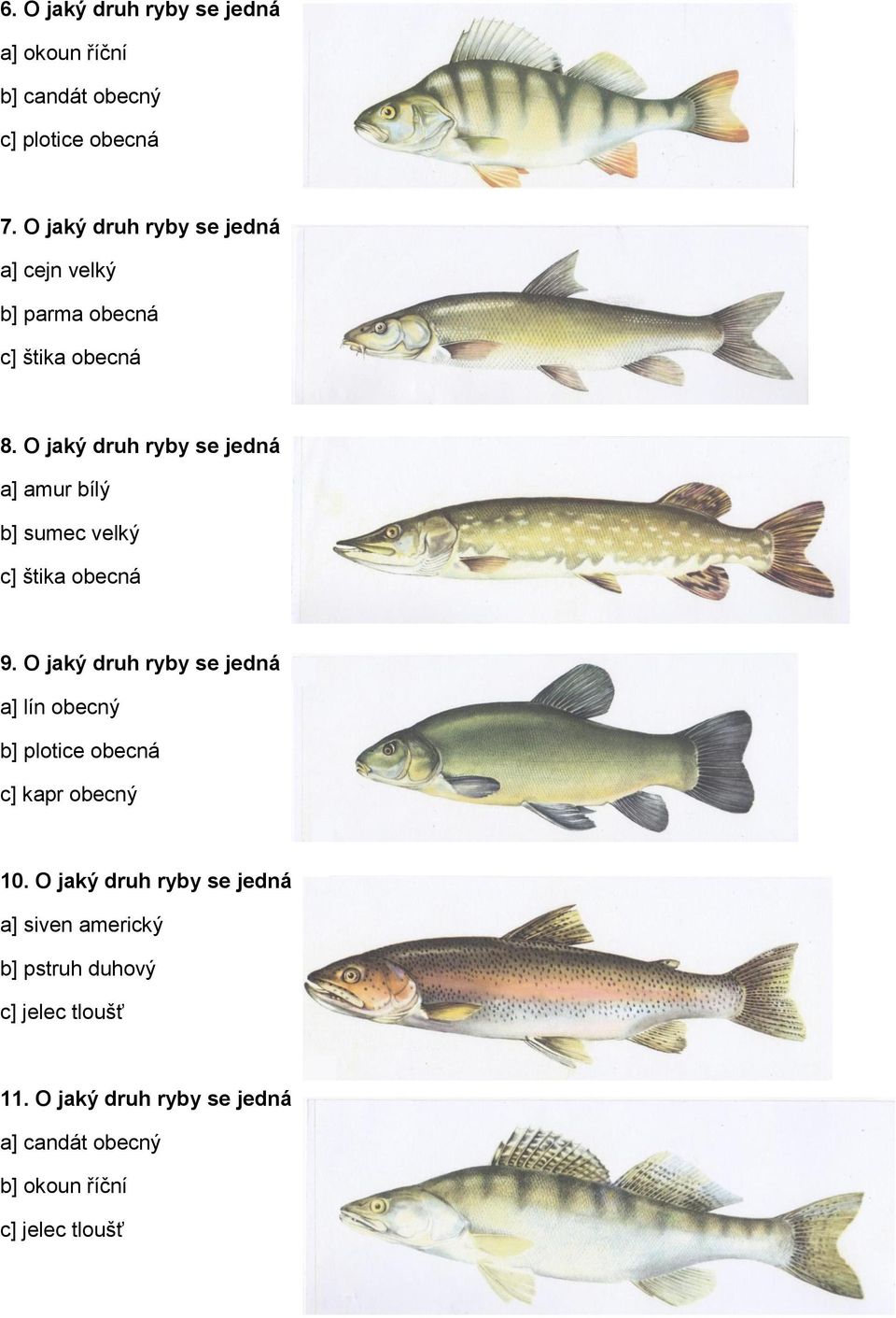 O jaký druh ryby se jedná a] amur bílý b] sumec velký c] štika obecná 9.