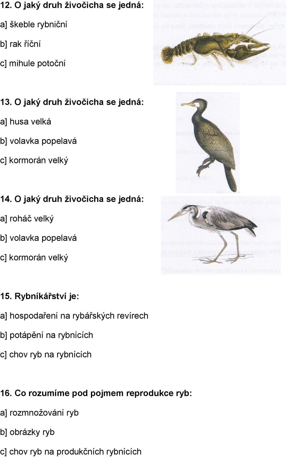 O jaký druh živočicha se jedná: a] roháč velký b] volavka popelavá c] kormorán velký 15.