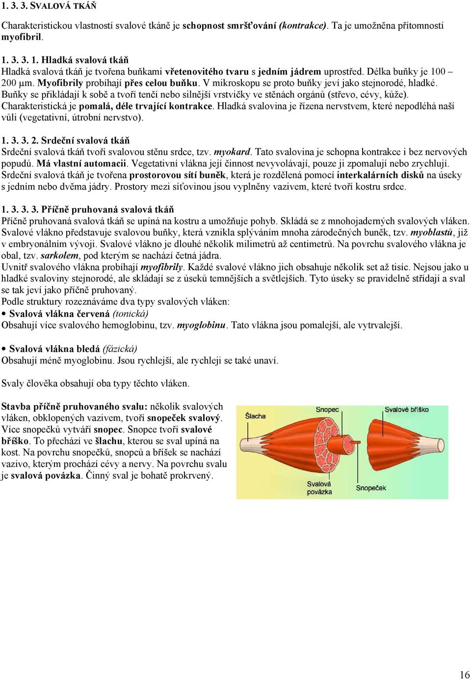 V mikroskopu se proto buňky jeví jako stejnorodé, hladké. Buňky se přikládají k sobě a tvoří tenčí nebo silnější vrstvičky ve stěnách orgánů (střevo, cévy, kůže).